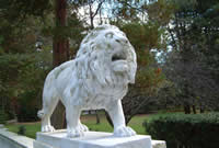Picture3